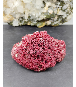 Kırmızı Mercan Doğal Taş Dekoratif Obje - Sertifikalı